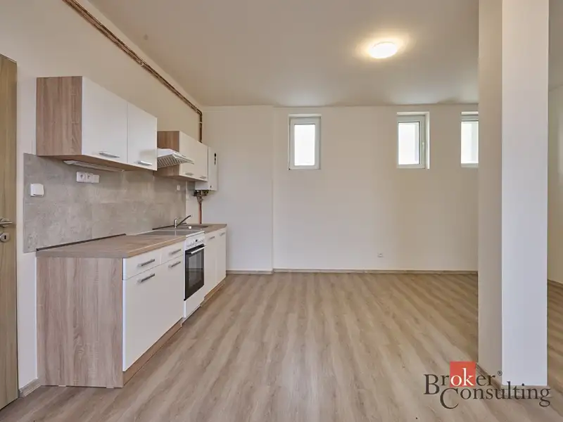 Pronájem bytu 1+kk 43 m², Mlékojedy – náhled fotky 1
