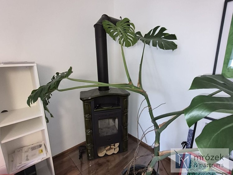 Квартира 3+1 в оренду, 95 м² (5 з 8)