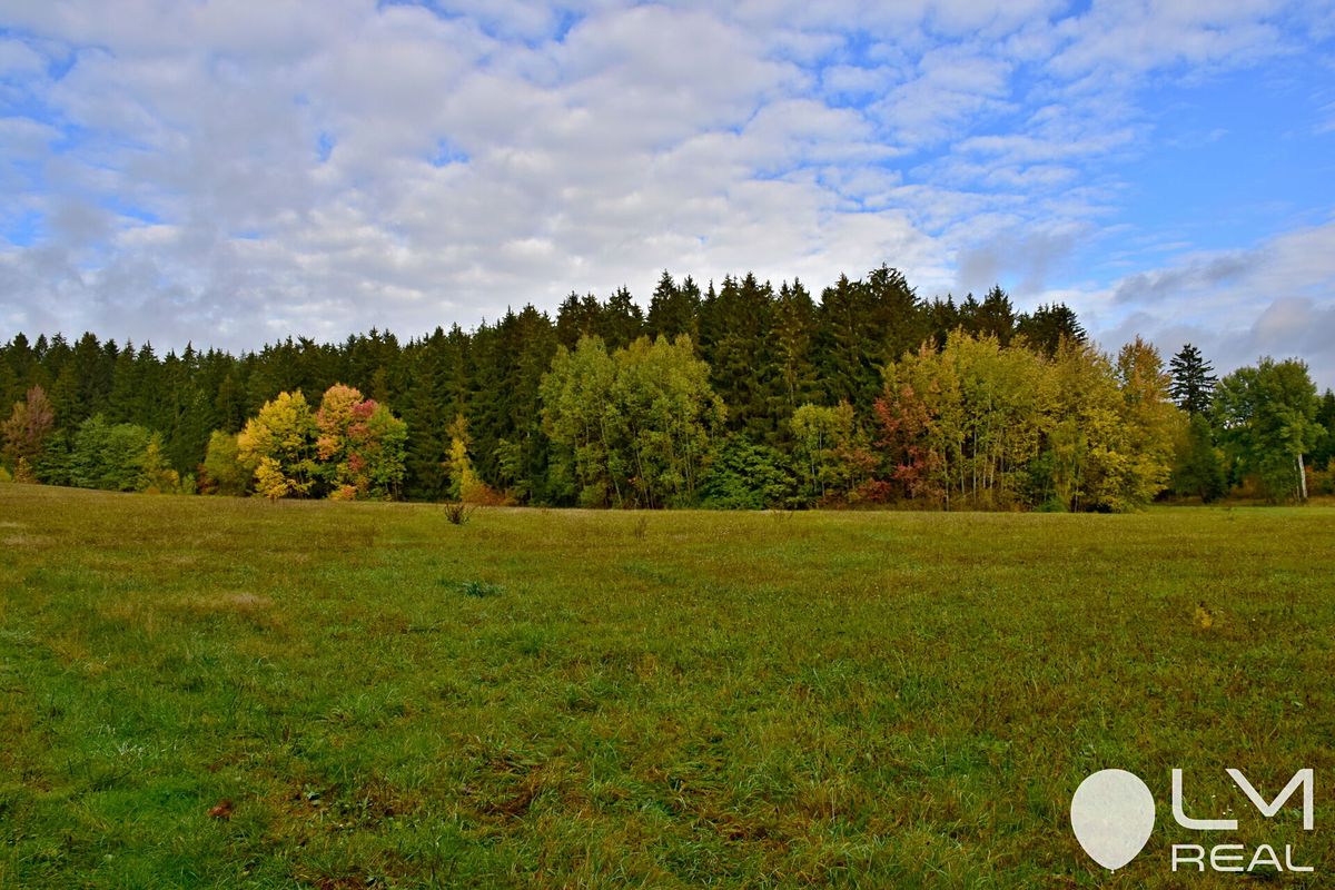 Prodej lesa 9184 m², Řečice – fotka 1 z 3