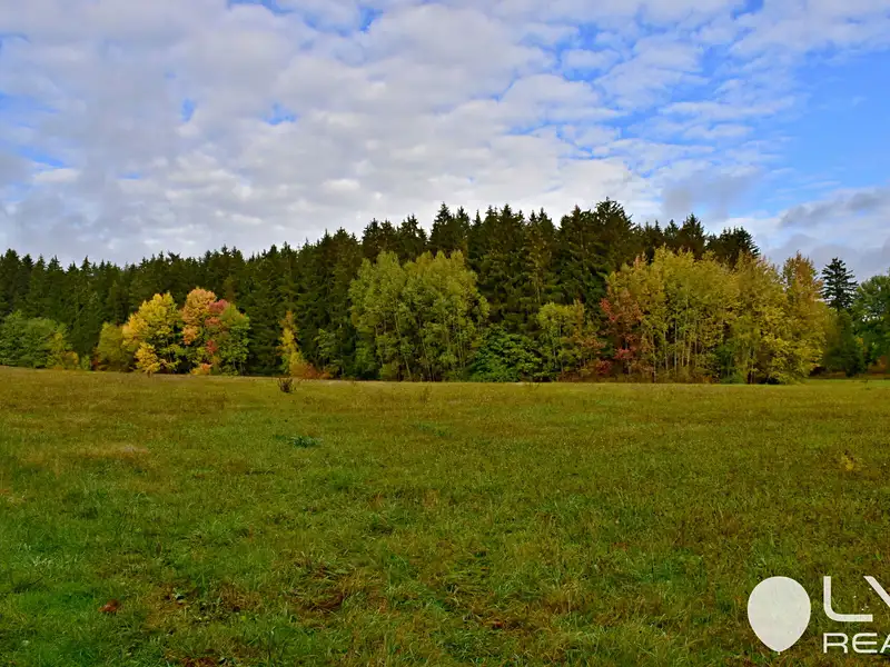 Prodej lesa 9184 m², Řečice – náhled fotky 1