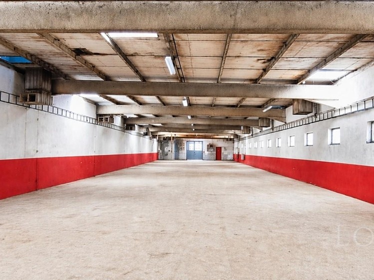 Pronájem komerčního prostoru, 1 000 m² (1 z 3)