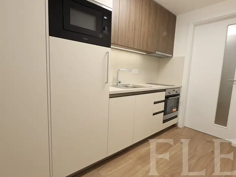 Pronájem bytu 1+kk 38 m², Praha – náhled fotky 2