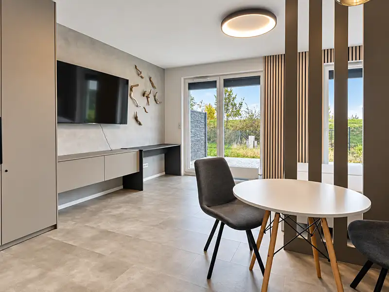 Pronájem bytu 1+kk 45 m², Olomouc – náhled fotky 1