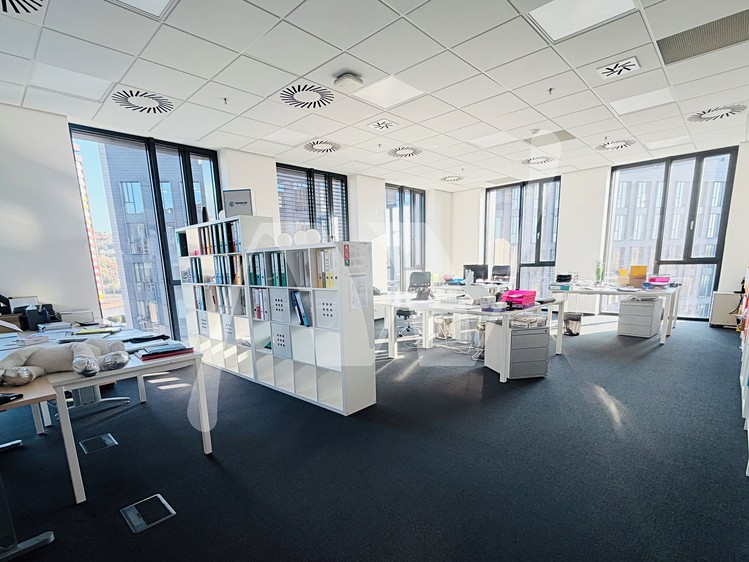 Комерційне приміщення в оренду, 337 м² (8 з 15)