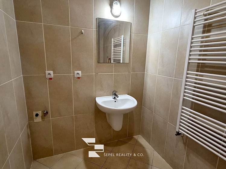 The 2+kk flat for rent, 107 m² (13 of 20)