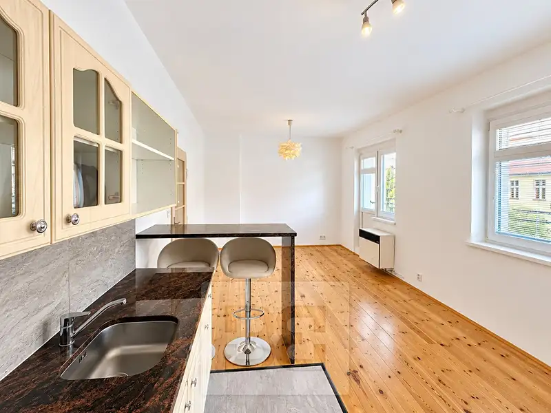 Pronájem bytu 1+kk 44 m², Praha – náhled fotky 1