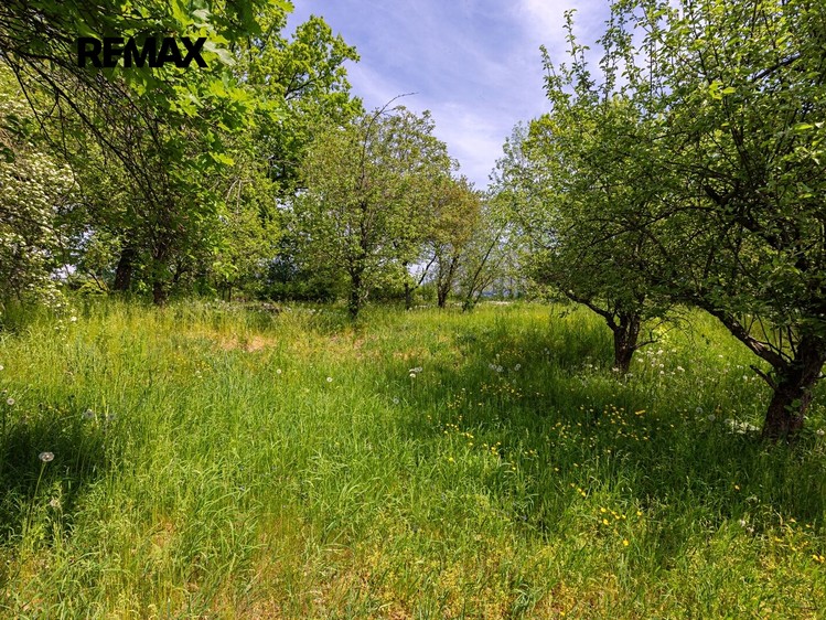 Grundstück zum Kauf, 953 m² (4 von 11)