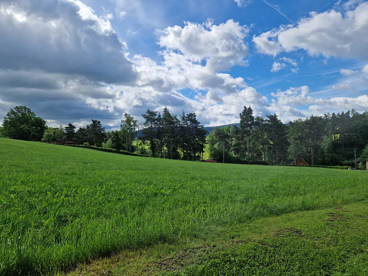 Prodej pole 5167 m²