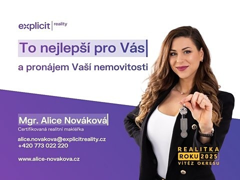 Pronájem komerčního prostoru, 211 m² (10 z 10)