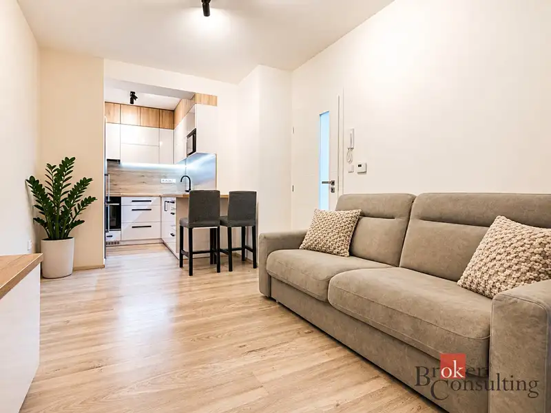 Prodej bytu 1+kk 42 m², Brno – náhled fotky 2