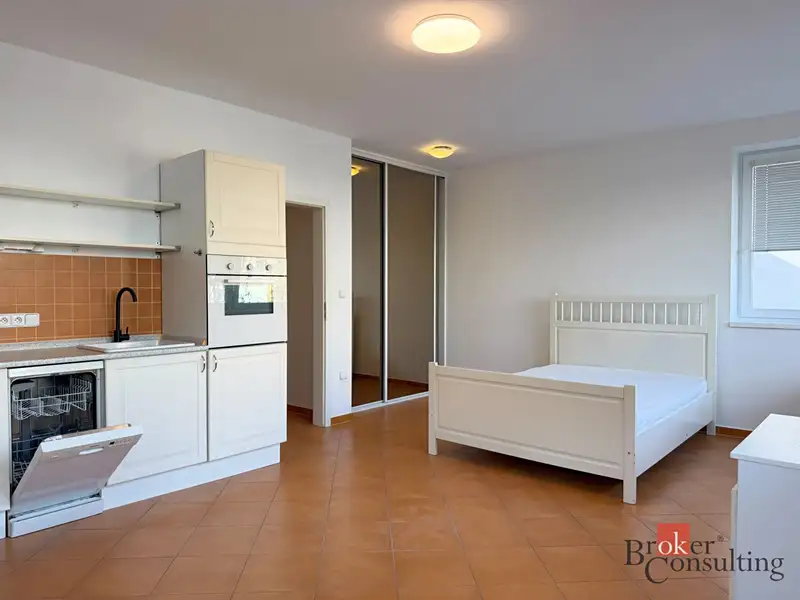 Pronájem bytu 1+kk 33 m², Plzeň – náhled fotky 3