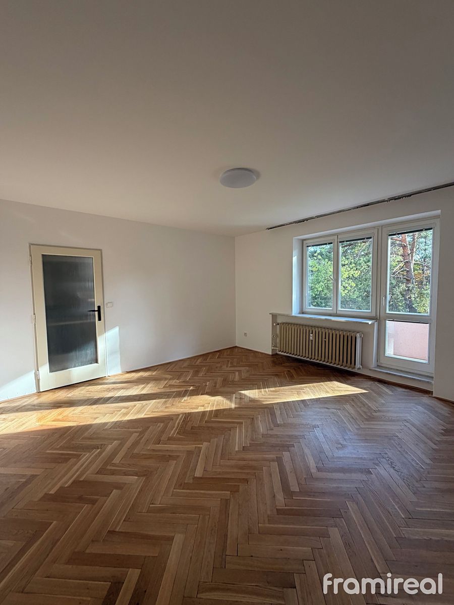 Pronájem bytu 1+1 38 m²