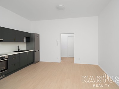 Wohnung 1+kk zur Miete, 33 m² (2 von 15)