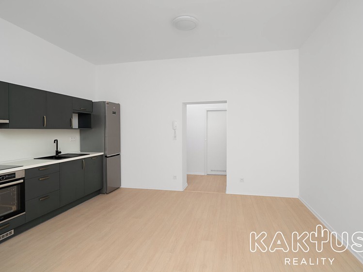 Wohnung 1+kk zur Miete, 33 m² (2 von 15)