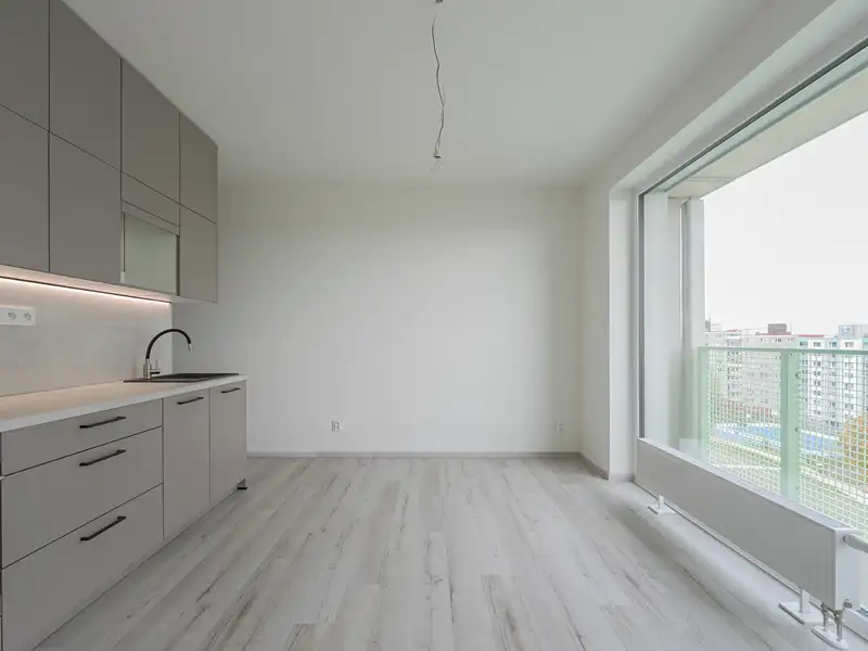 Pronájem bytu 1+kk 36 m², Plzeň – náhled fotky 1
