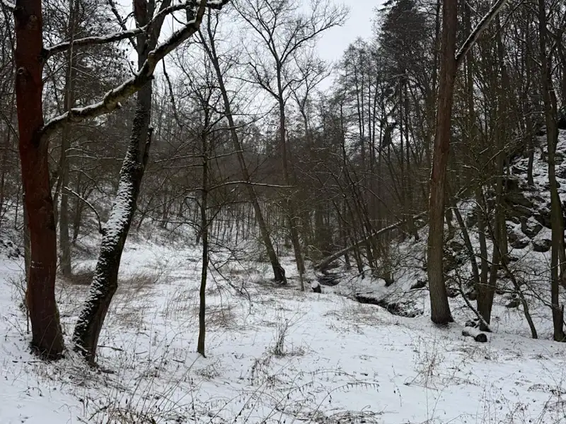 Prodej rybníku (vodní plochy) 6437 m², Chotiměř – náhled fotky 2