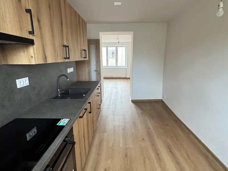 Pronájem bytu 2+1 60 m², Plzeň – náhled fotky 2