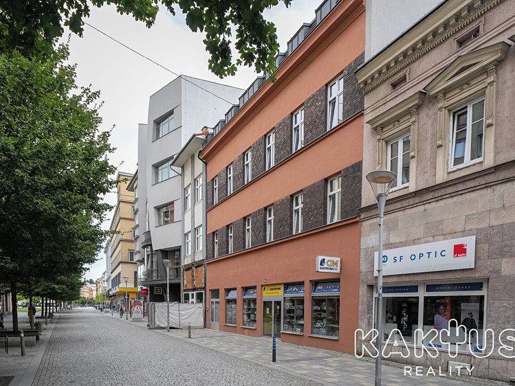Wohnung 1+kk zur Miete, 26 m² (11 von 13)