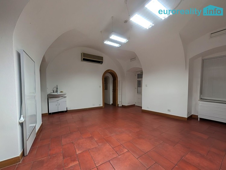 Pronájem komerčního prostoru, 50 m² (3 z 12)