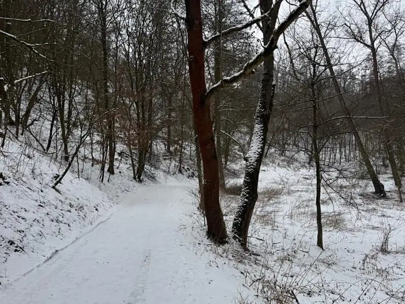 Prodej rybníku (vodní plochy) 6437 m², Chotiměř – náhled fotky 3