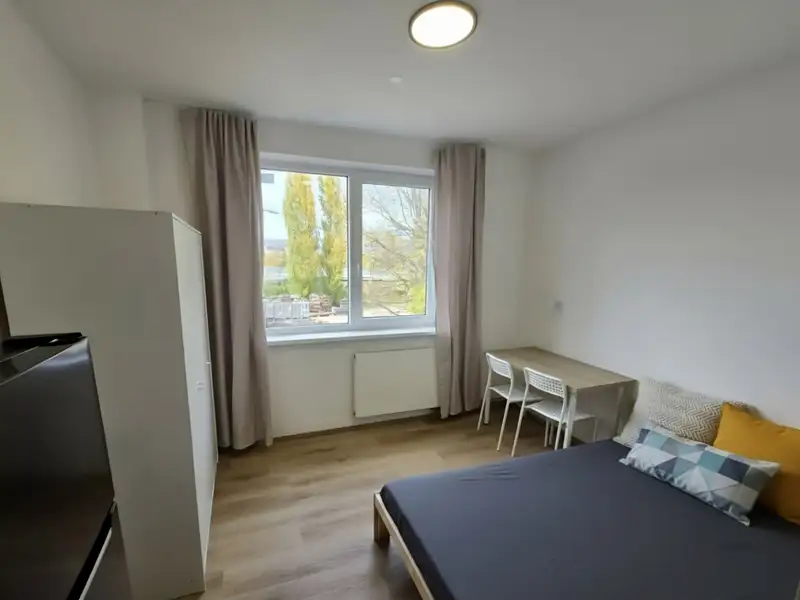 Pronájem bytu 1+kk 15 m², Králův Dvůr – náhled fotky 1