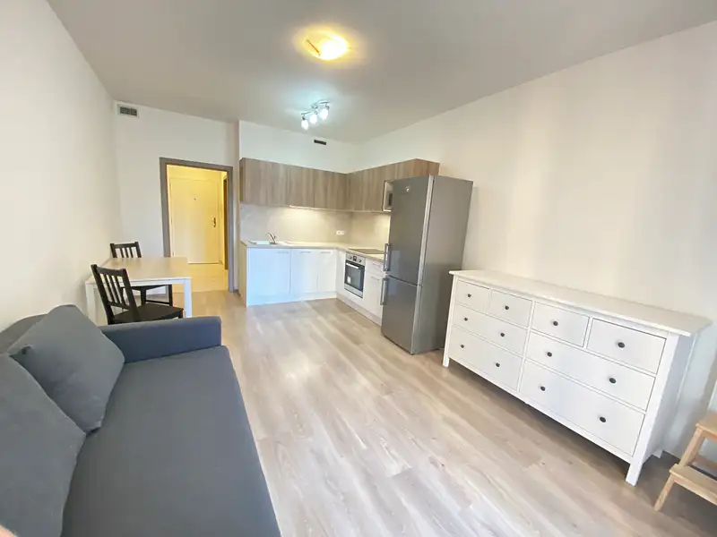 Pronájem bytu 1+kk 32 m², Praha – náhled fotky 2