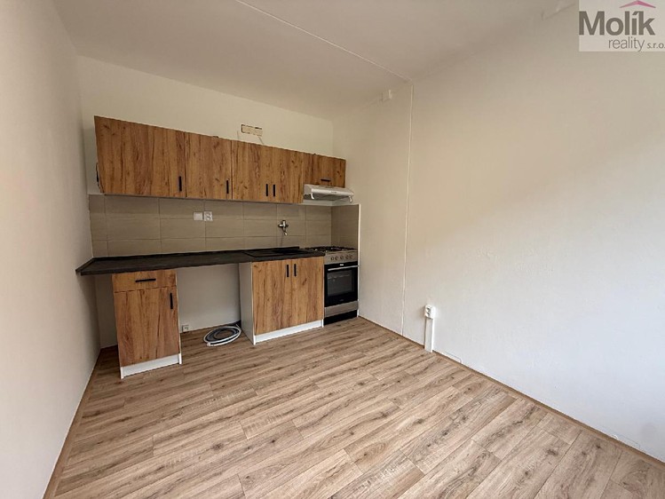 Wohnung 3+1 zum Kauf, 54 m² (2 von 14)