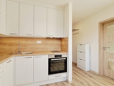 Wohnung 1+1 zur Miete, 32 m² (3 von 17)