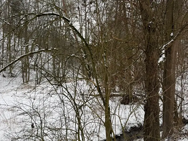 Prodej rybníku (vodní plochy) 6437 m², Chotiměř – náhled fotky 1
