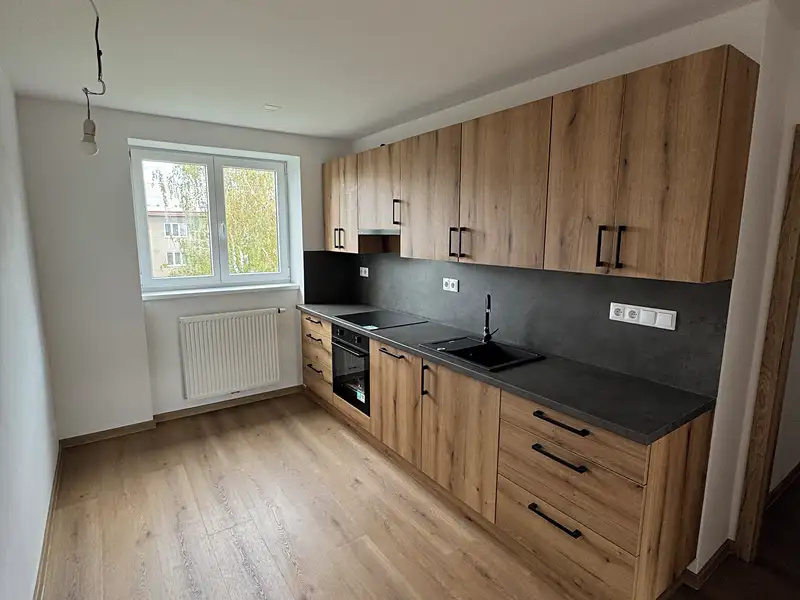 Pronájem bytu 2+1 60 m², Plzeň – náhled fotky 1