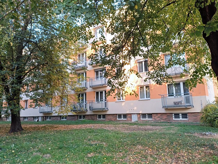 Ostatní