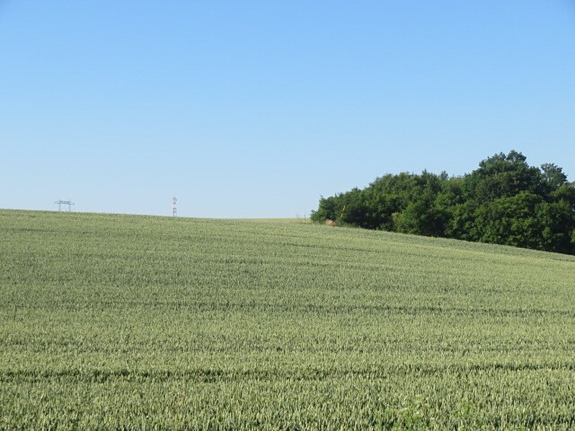 Grundstück zur Versteigerung, 2.415 m² (1 von 3)
