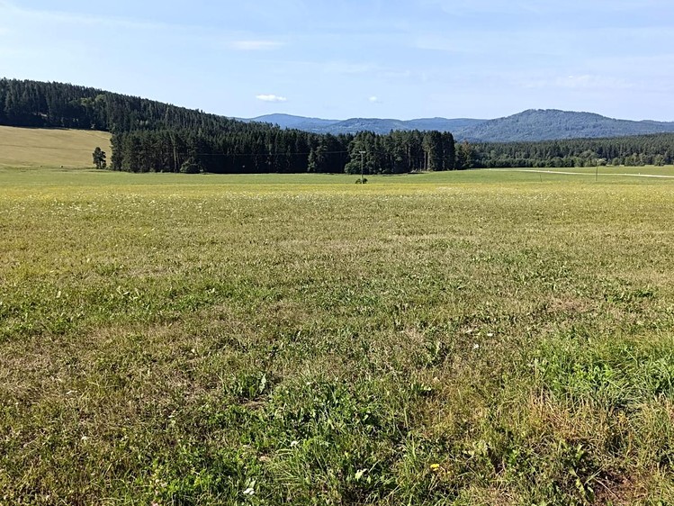 Grundstück zum Kauf, 6.999 m² (1 von 4)