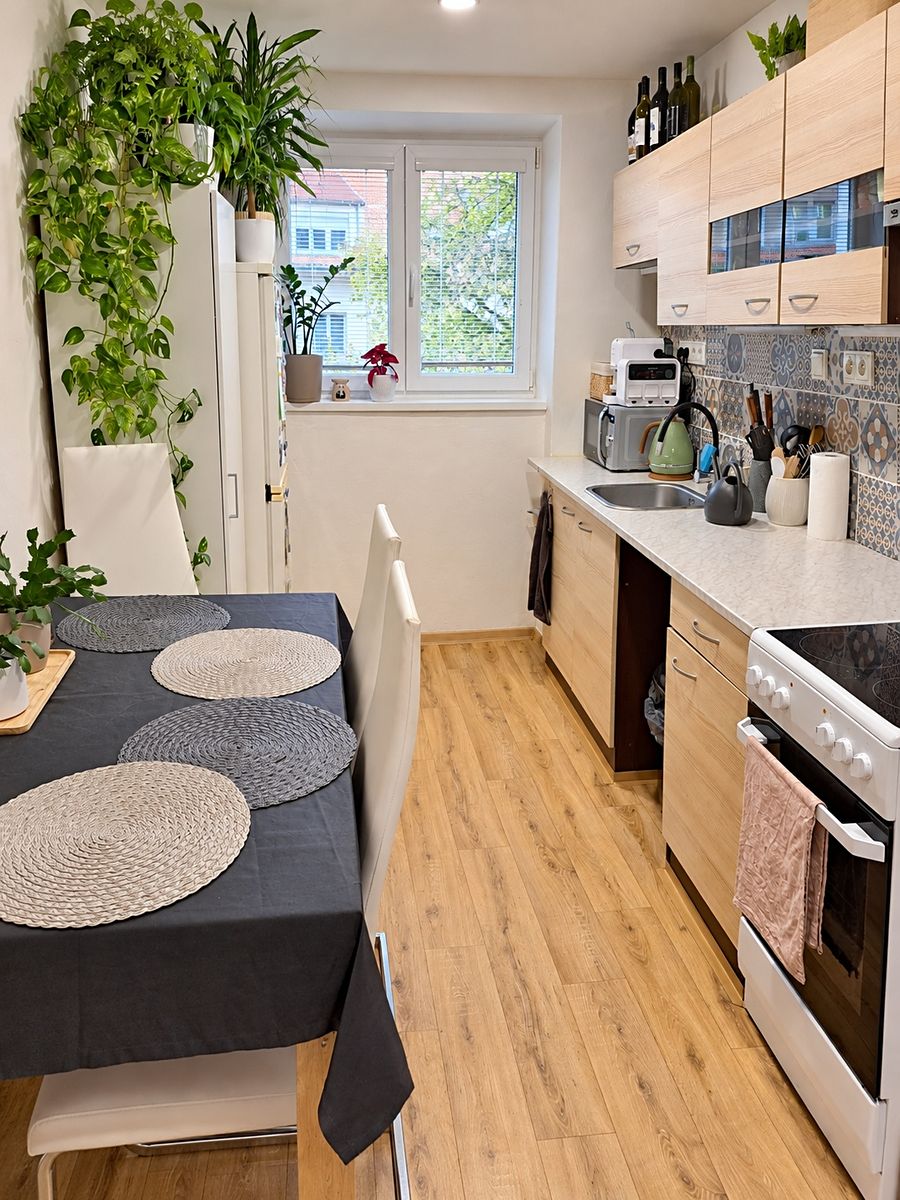 Pronájem bytu 2+1 55 m²