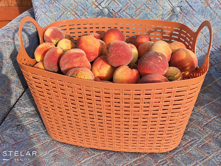 Будинок на продаж, 20 м² (16 з 20)