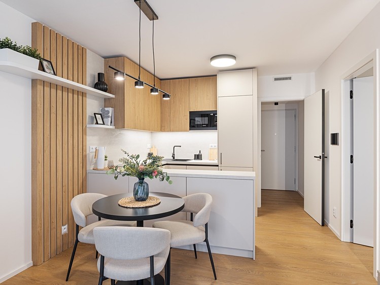 Wohnung 2+kk zur Miete, 48 m² (1 von 17)