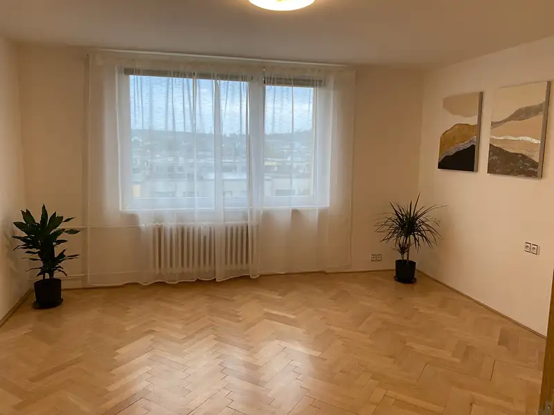Pronájem bytu 1+1 40 m², Praha – náhled fotky 2