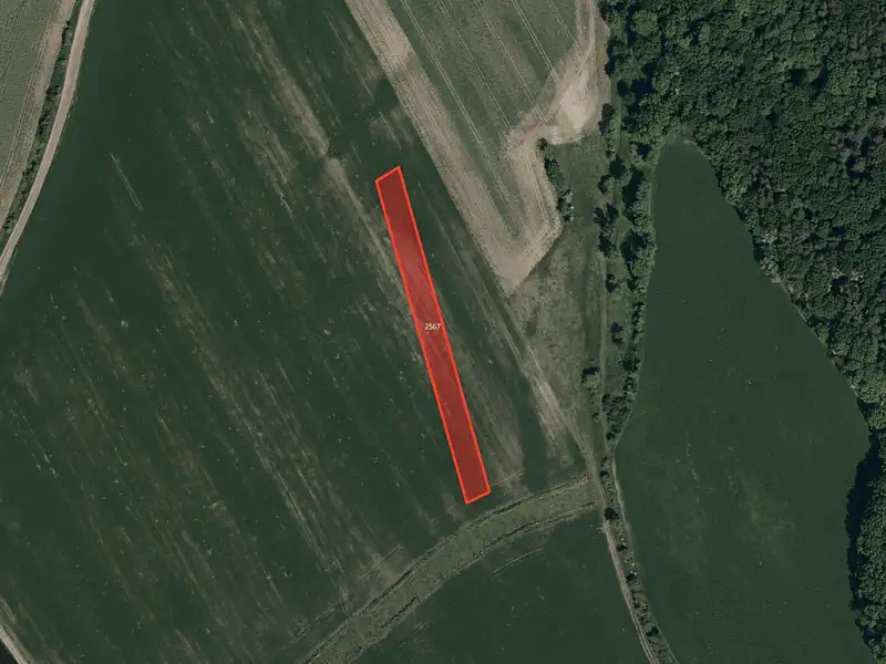 Prodej pole 5658 m², Louka – náhled fotky 2