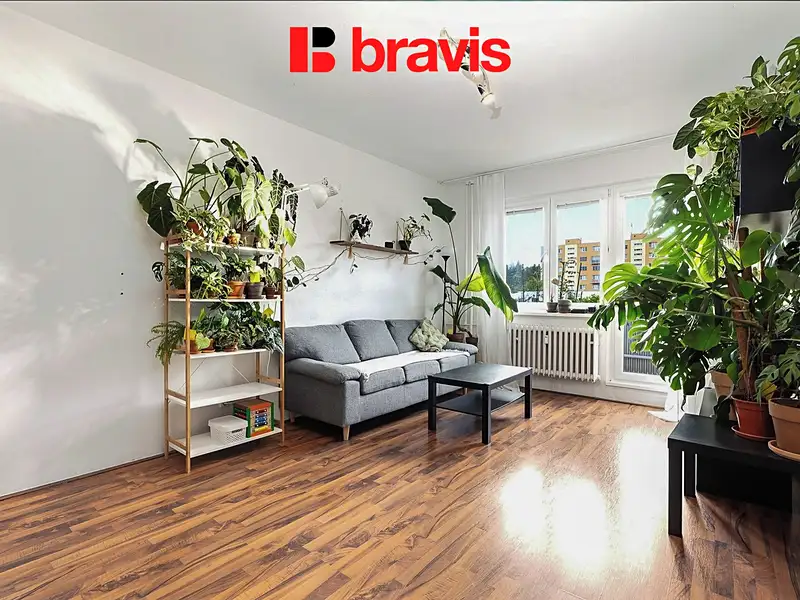 Prodej bytu 2+1 55 m², Brno – náhled fotky 1