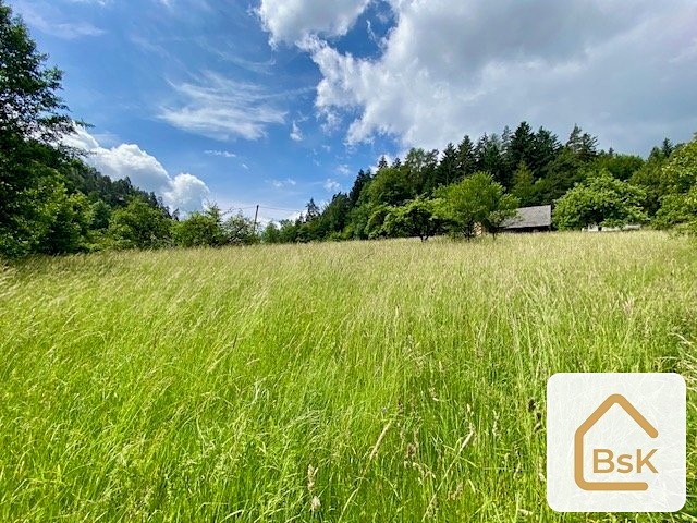 Ділянка на продаж, 2 434 м² (6 з 15)