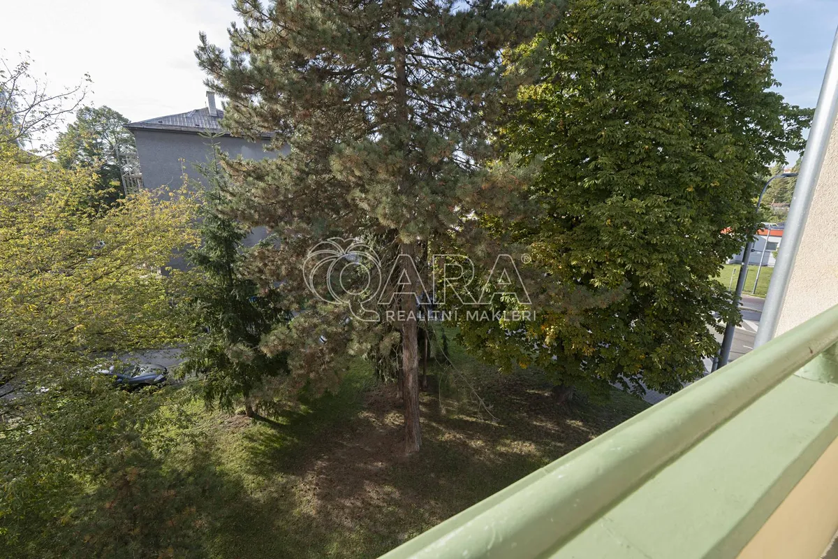 Fotka 27 z 30