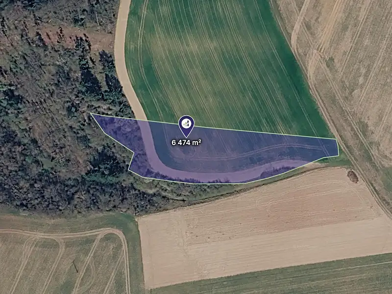 Prodej pole 29176 m², Letovice – náhled fotky 1