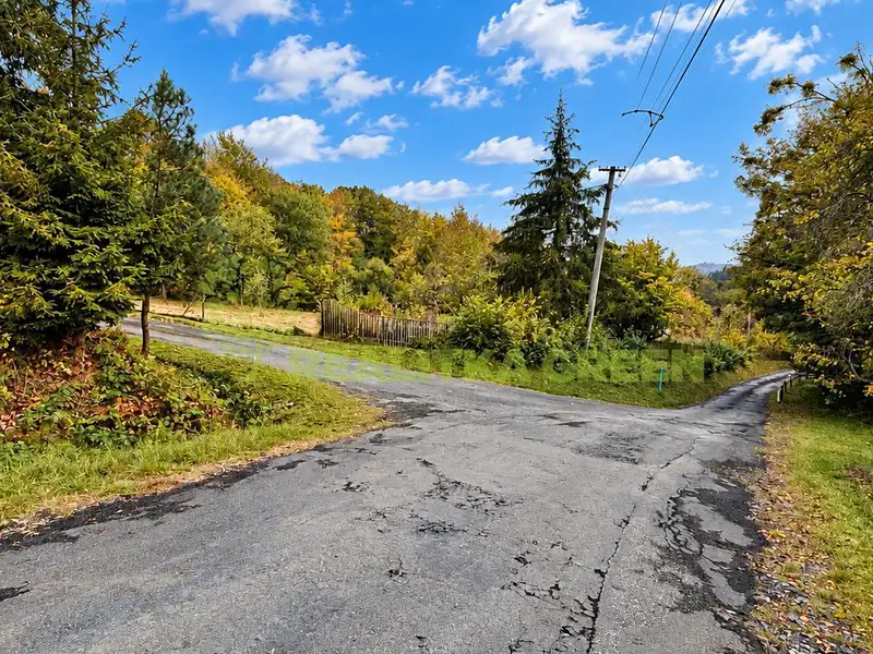Prodej stavebního pozemku 2296 m², Růžďka – náhled fotky 3
