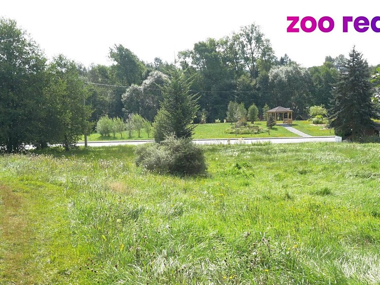 Grundstück zum Kauf, 2.518 m² (6 von 17)