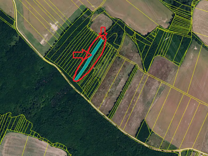 Prodej lesa 3133 m², Rybníky – náhled fotky 2