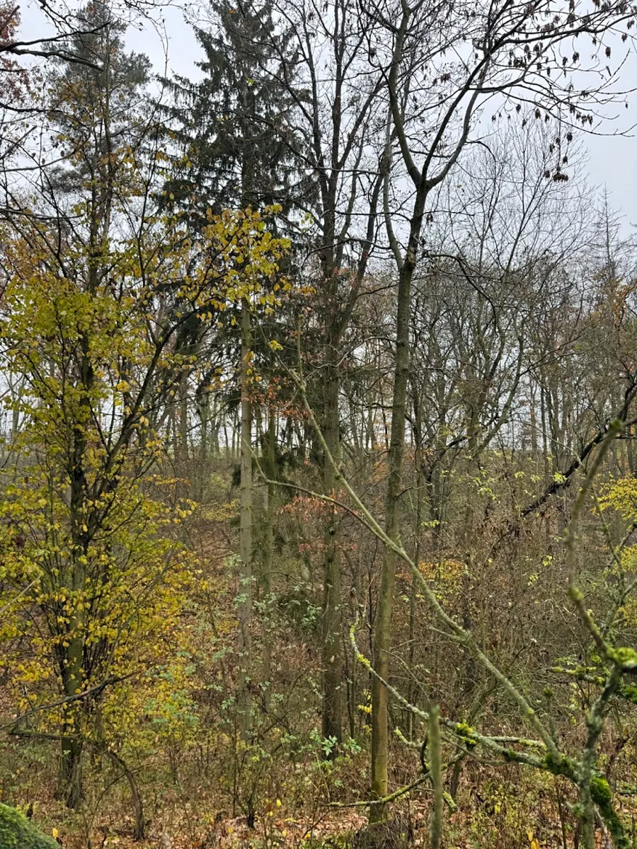 Fotka 5 z 10