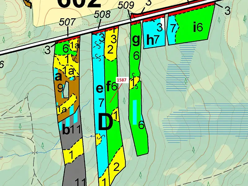Dražba lesa 11125 m², Nová Bystřice – náhled fotky 3