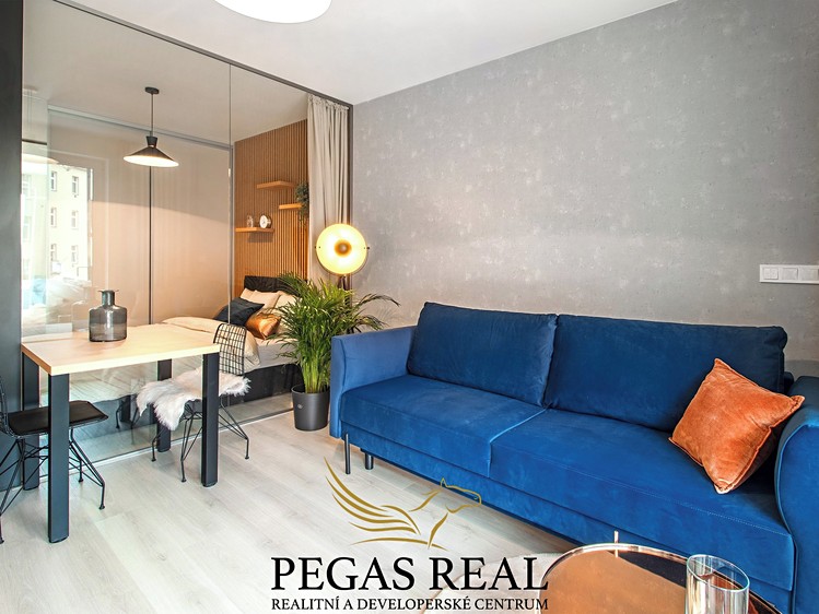 Wohnung 1+kk zum Kauf, 30 m² (1 von 20)