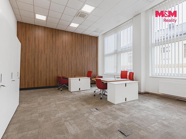 Pronájem komerčního prostoru, 396 m² (7 z 30)