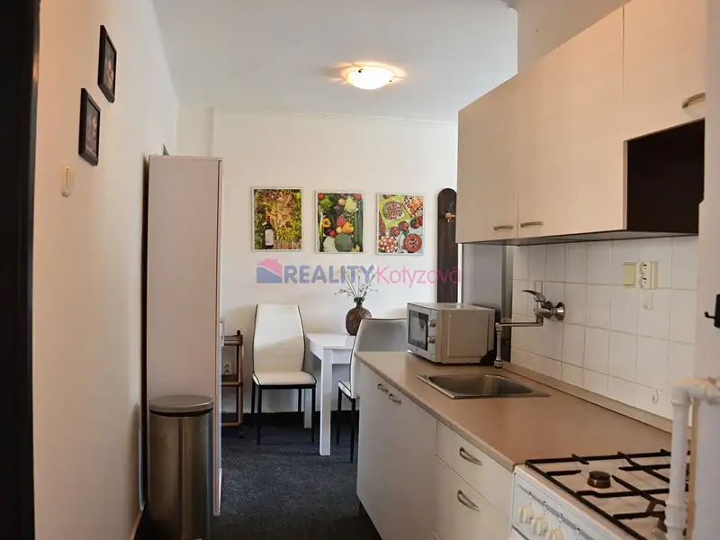 Prodej bytu 3+1 58 m², Teplice – náhled fotky 2